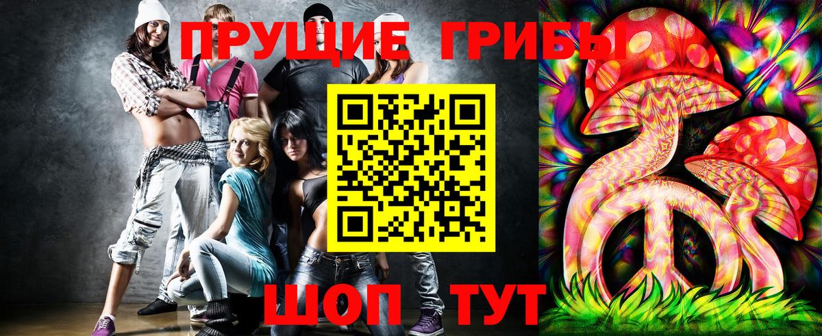 Псилоцибиновые грибы Psilocybe  Вход с VPN  Гатчина 