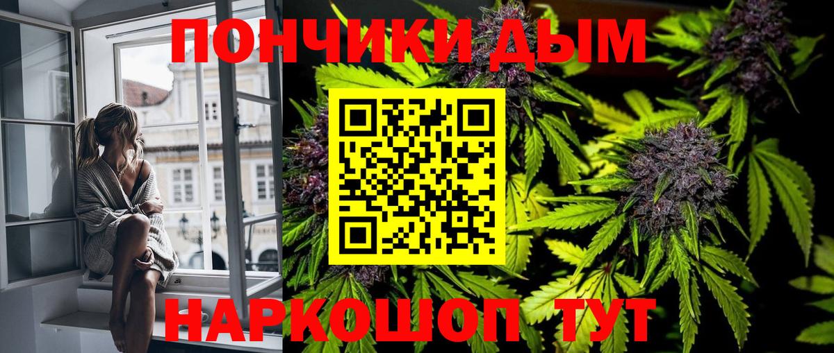 Каннабис Amnesia Гатчина